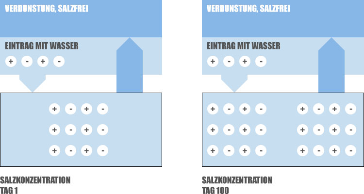 Aufsalzung im Kreislauf